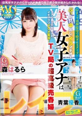 SVDVD-541 - Rape Beautiful Women Ana Ultra-luxury Prostitute Of G Cup TV Stations - Sadistic Village