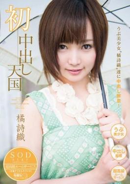 STARS-406 Studio SOD Create  First Creampie Heaven Shiori Tachibana