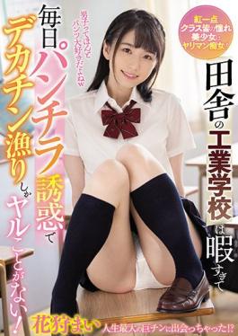 WAAA-098 Studio WANZ FACTORY The Technical School In The Countryside Is Too Free And I Can Only Catch Big Cocks Every Day Because Of The Temptation Of Panchira! Flower Hunting