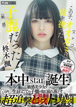 HMN-049 Studio Honnaka This Kid Was A Fawn (sensitive) With The Skin Of A Wolf (lewd)! Honnaka Star Birth All Day Super Pursuit Piston Cum Shot Sexual Intercourse That Collapses A Sensitive Beautiful Girl Like A Newborn Fawn Kaede Hiiragi