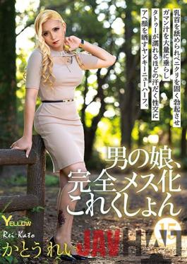 HERY-117 Studio YELLOW / Mousouzoku Feminization Collection 15 Katou Rei