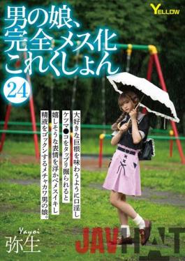 HERY-127 Studio Yellow / HERO Man's Daughter,Complete Female Collection 24 Yayoi