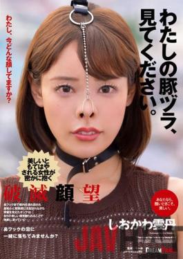 NHD-006 Studio Dream Ticket Look At My Pork Belly. Shiokawa Sea Urchin