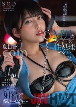 STARS-754 Studio SOD Create Hey,You'll Befriend Me,Right...?Training A Maso Man Into A Sexual Processing Pet Only For Me... -Hibiki,The Owner Who Loves Me With My Sassy Eyes And Keeps Ejaculating Until She Runs Out Of Sperm- Hibiki Natsume