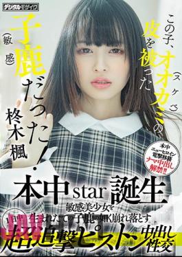 HMN-049 This Kid Was A Fawn (sensitive) With The Skin Of A Wolf (lewd)! Honnaka Star Birth All Day Super Pursuit Piston Cum Shot Sexual Intercourse That Collapses A Sensitive Beautiful Girl Like A Newborn Fawn Kaede Hiiragi