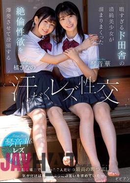 BBAN-407 Sweaty Lesbian Sex Kotoneka Hinano Tachibana