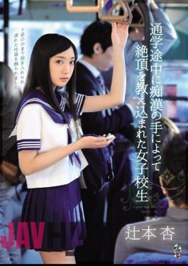 Uncensored TEAM-065 In The Middle School We Were Taught The Capstone By The Hand Of Molesting School Girls Tsujimoto Apricot