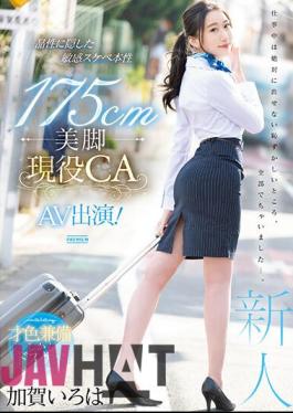 Uncensored PRED-494 175cm Beautiful Legs Active CA AV Appearance! Kaga Iroha