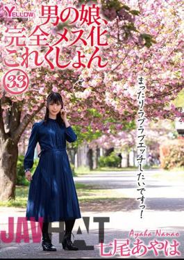 HERY-137 Man's Daughter, Complete Female Collection 33 Nanao Ayaha