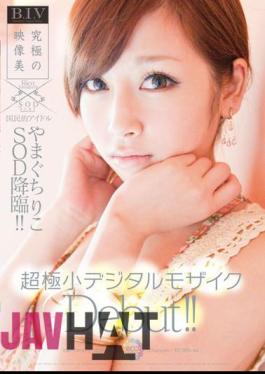 Mosaic STAR-255 Yamaguchi, Riko SOD Advent National Icon!! Ultra-small Digital Mosaic Debut!!