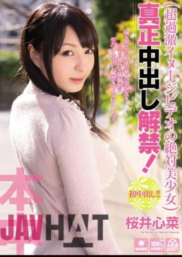Mosaic HND-113 The Lifting Of The Ban Out Beautiful Girl In Absolute Authenticity Of Cum Video Image! Sakurai Kokorona