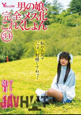 HERY-138 Man's Daughter, Complete Female Collection 34 Haruka Kisaragi