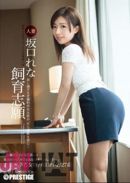 Mosaic AKA-009 Married Sakaguchi Rena Breeding Applicants