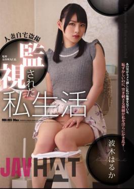 English Sub RBD-865 Housewife Home Voyeurs Monitored Personal Life Waki Haruka