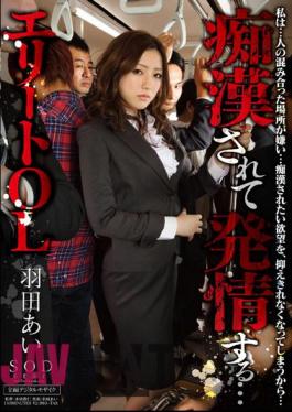 Mosaic STAR-336 Estrus Is To Pervert Love Haneda Elite OL ...