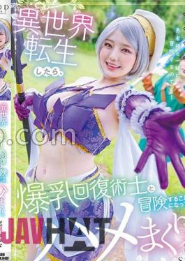 Mosaic STARS-953 When I Was Reincarnated In Another World, I Decided To Go On An Adventure With A Busty Recovery Magician, And We Had Sex.