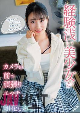 SQTE-513 How Can A Man Feel Good? A Beautiful Girl With Little Experience Does Her Best To Have Sex In Front Of The Camera. Shion Chibana