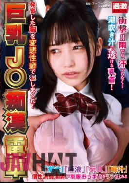 NHDTB-851 Big-breasted J Molester Train - Rape Her Grown Breasts With Perverted Fetishes!