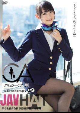 Mosaic BF-240 Sho Nishino Et Al Intercourse  Feel Stewardess, By Instinct Sho