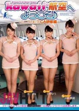 KAPD-026 Ed Training CA Big Mini Skirt - Welcome To Kawaii * Aviation -
