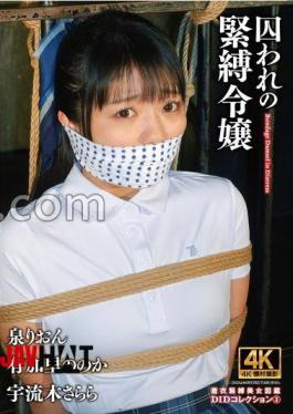 ACZD-224 Captive Bondage Lady DID Collection 3