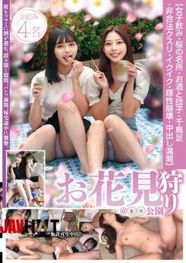 STSK-166 Cherry Blossom Viewing girls Drinking, Famous Cherry Blossom Spots, Alcohol And Dumplings, Staggering, Illegal Drugs, Cumming, Losing One's Mind, Creampie In Full Bloom Hunting