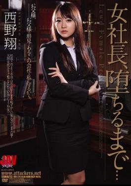 English Sub RBD-378 Woman President, Until The Fall ... Sho Nishino