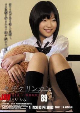 Mosaic SHKD-401 89 Kichikurinkan